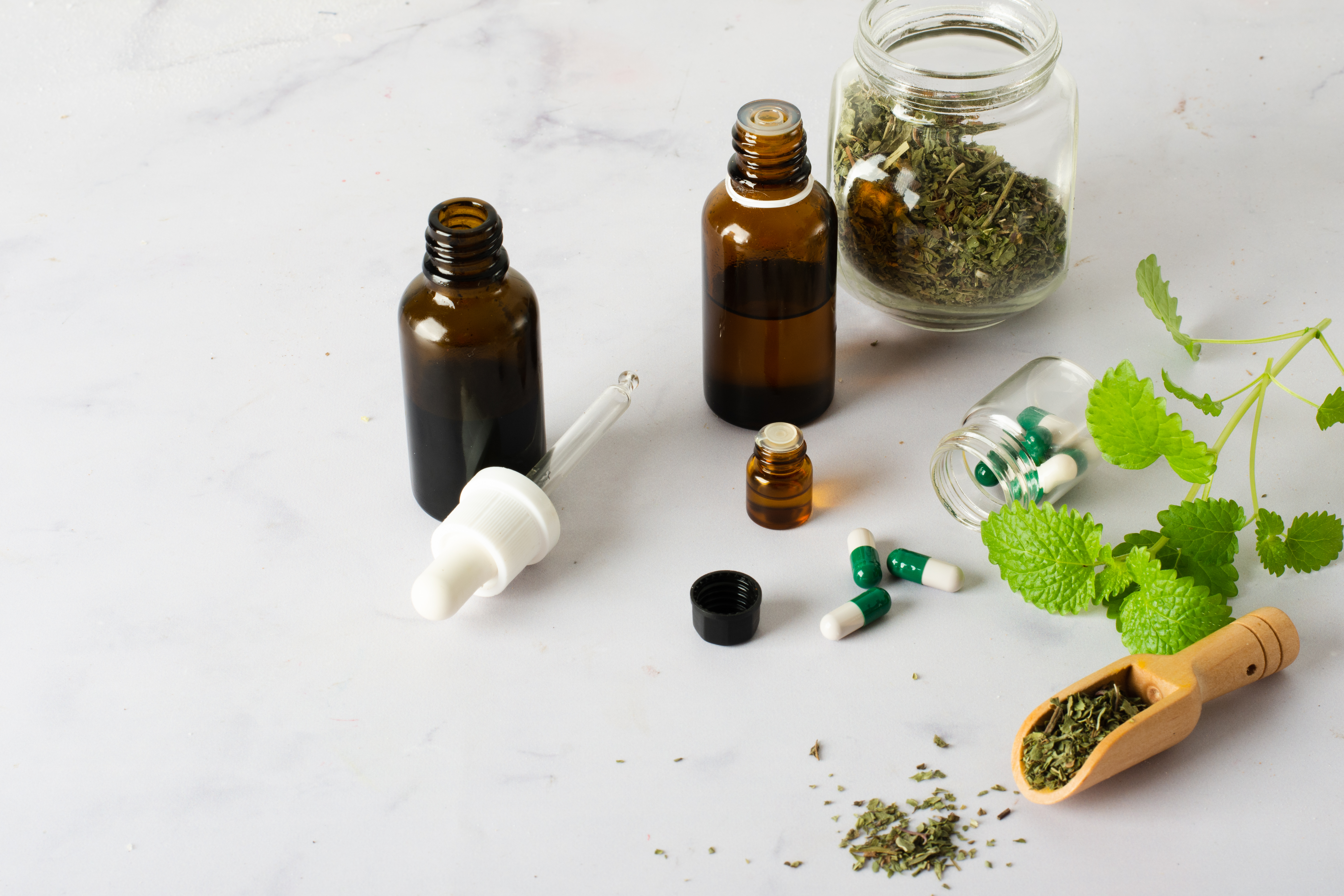 Fitoterapia e Plantas Medicinais